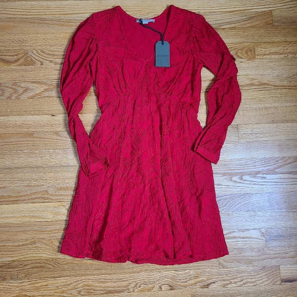 NEW All Saints Size 0 Red Embroidered Rosi Ani Dress - Picture 4 of 11